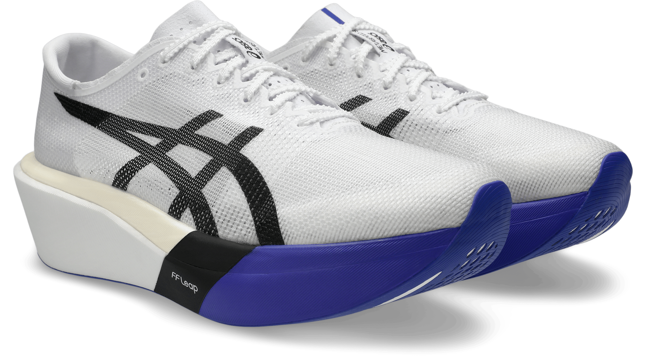 ASICS SPEED SKY TOKYO サイズ29.0 METASPEED SKY TOKYO
