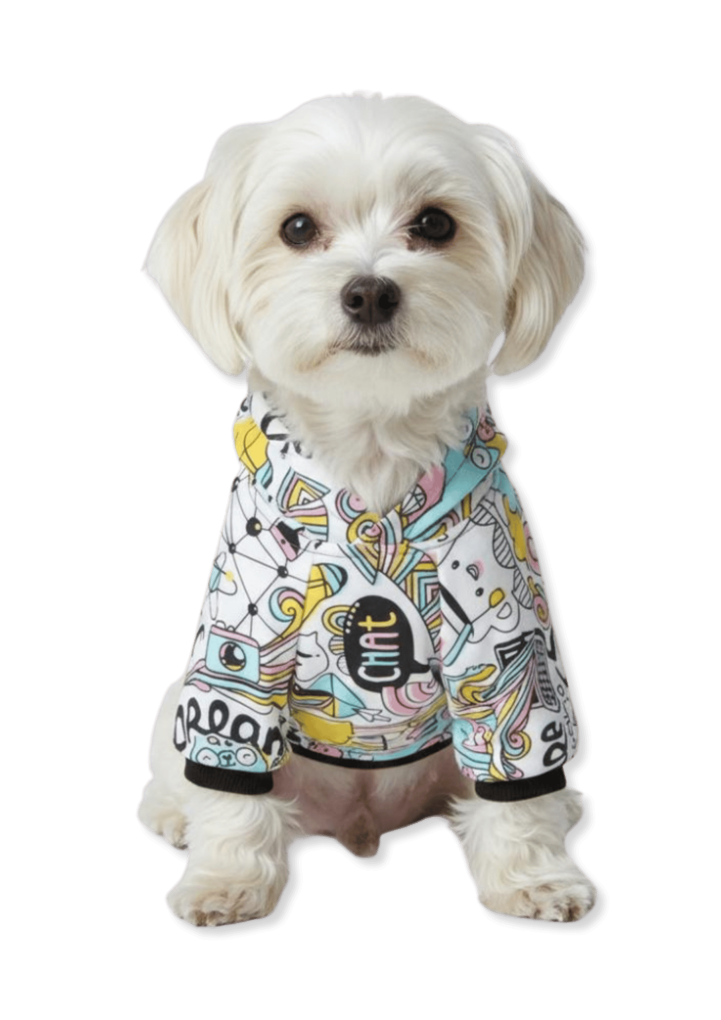 Think Karışık Desenli Köpek Sweatshirt | Normal Kalıp & 4 Mevsim
