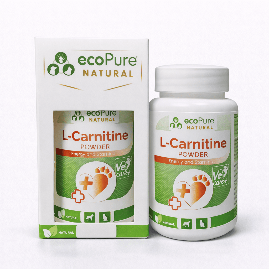 l carnitine kilo verdirir mi L Carnitine Kilo Verdirir Mi main image 1