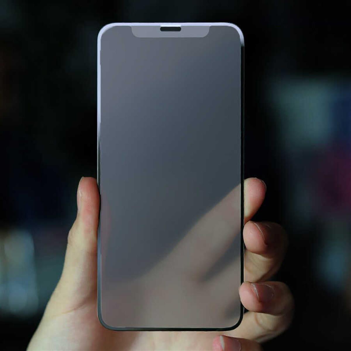 Galaxy S9 Plus Hayalet Ekran Koruyucu Davin Privacy Mat Seramik Ekran Filmi  | Mobicaps