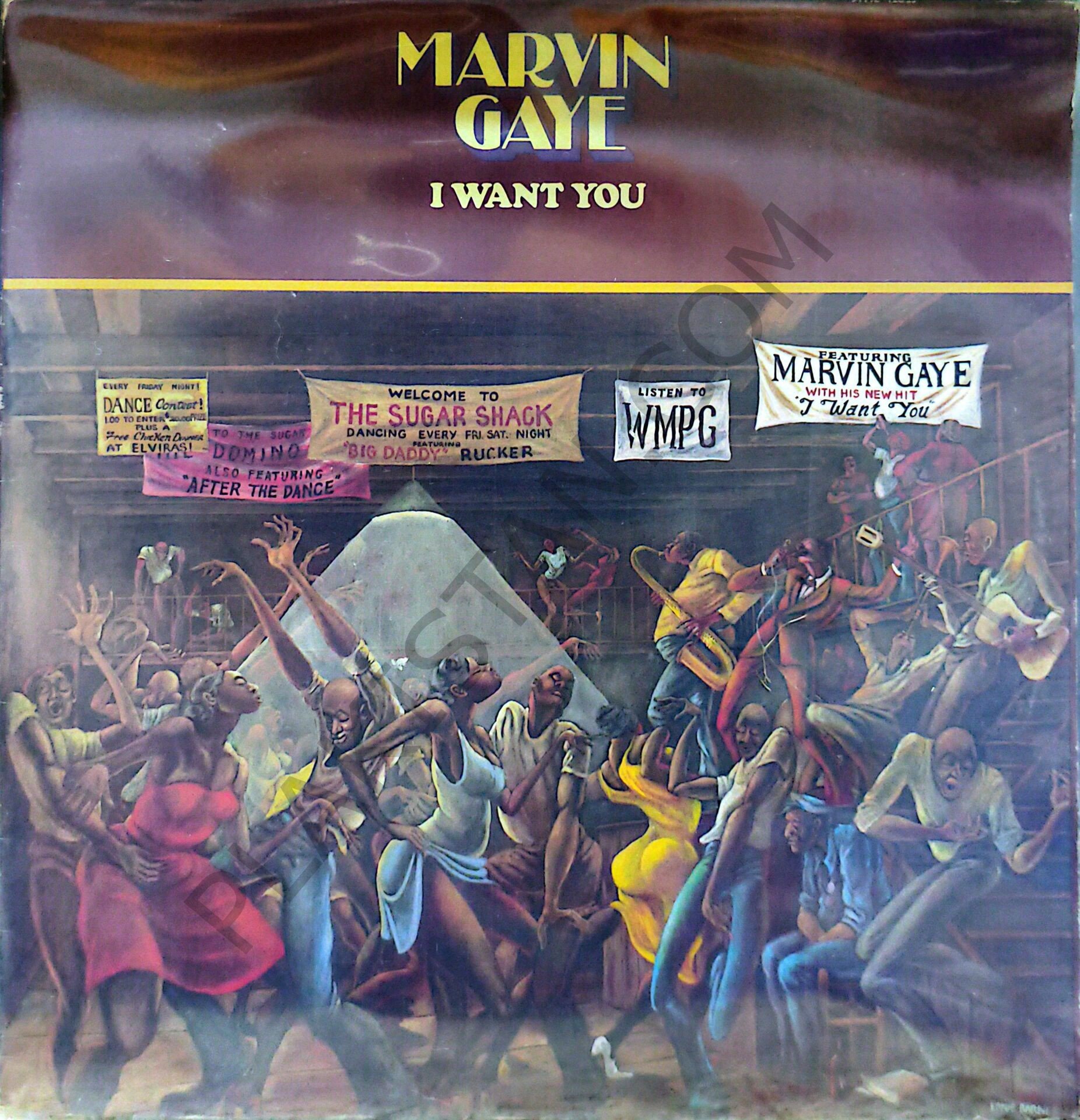 Marvın Gaye - İ Want You LP PLAK | Plakistan