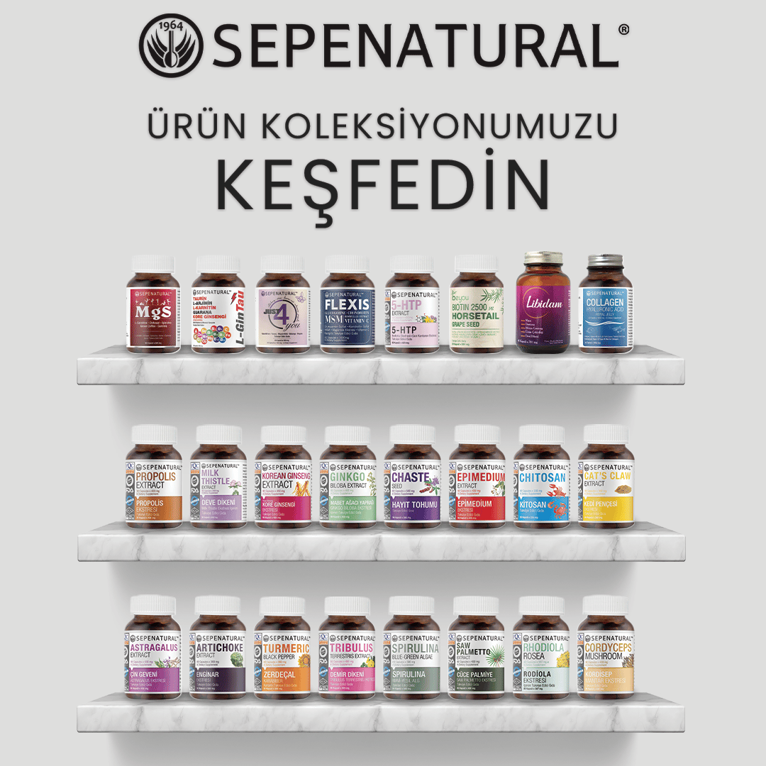 L-Karnitin Sıvı 200 ml Su Bazlı Aromasız 20 Servis L-Carnitine SEPE