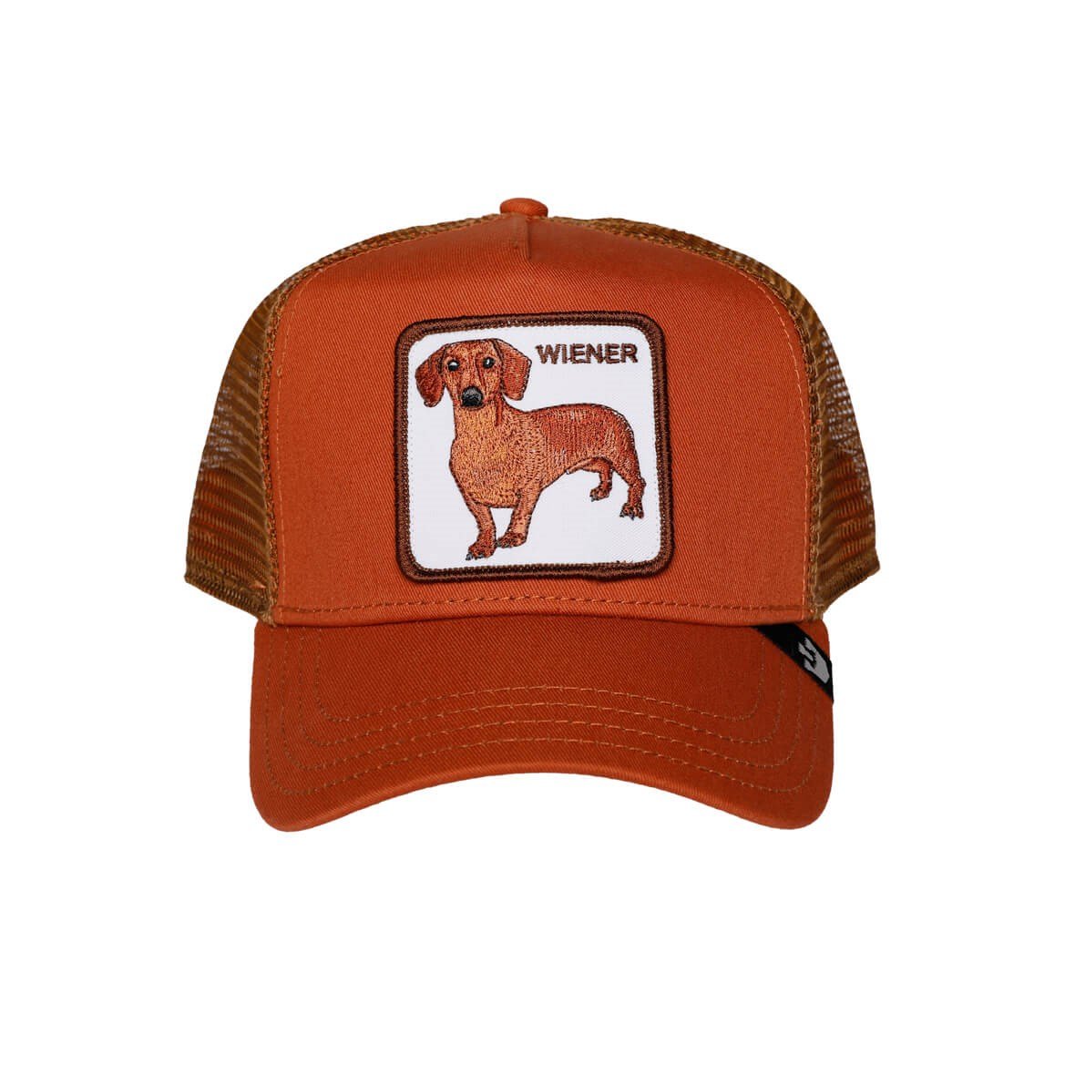 Goorin Bros Wiener Dawg Şapka Nomadic Republic