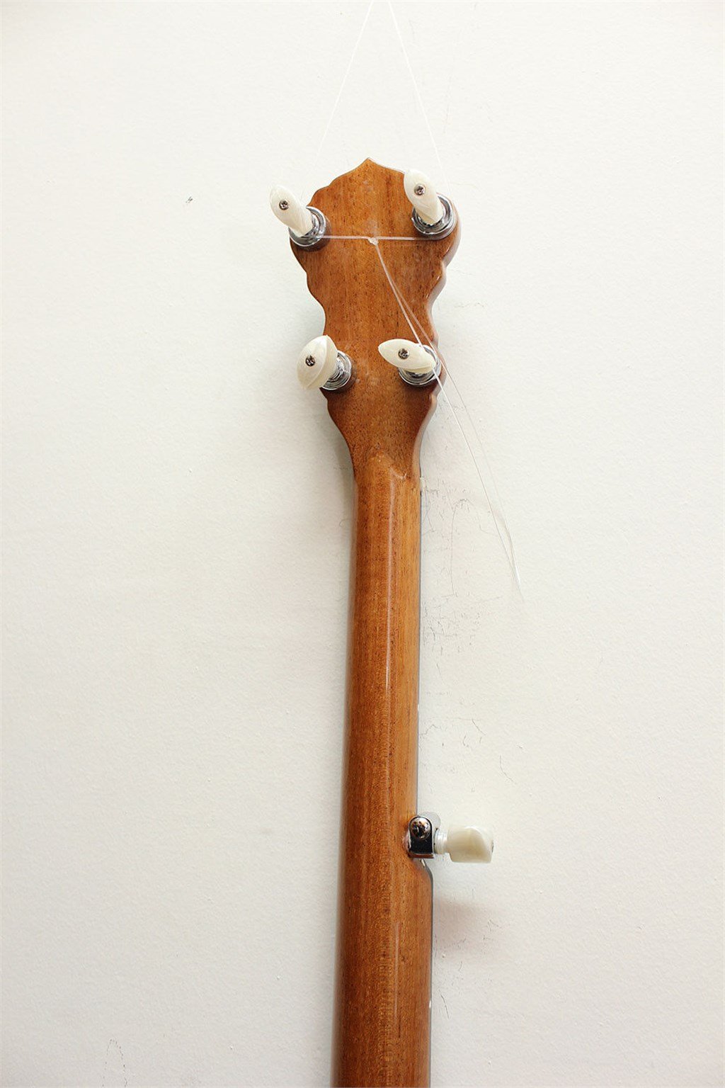5 Telli Amerikan Banjo