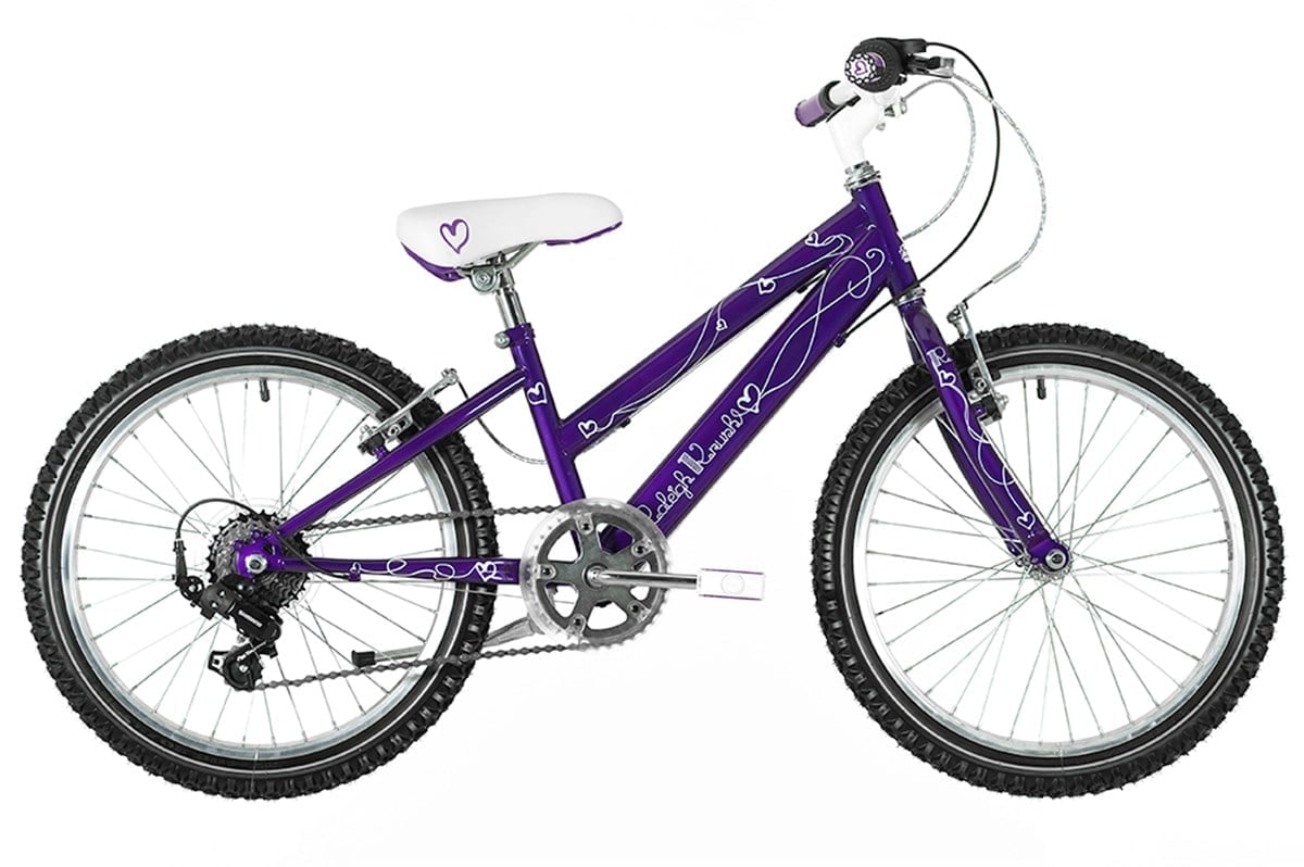 Raleigh ParalikOnline