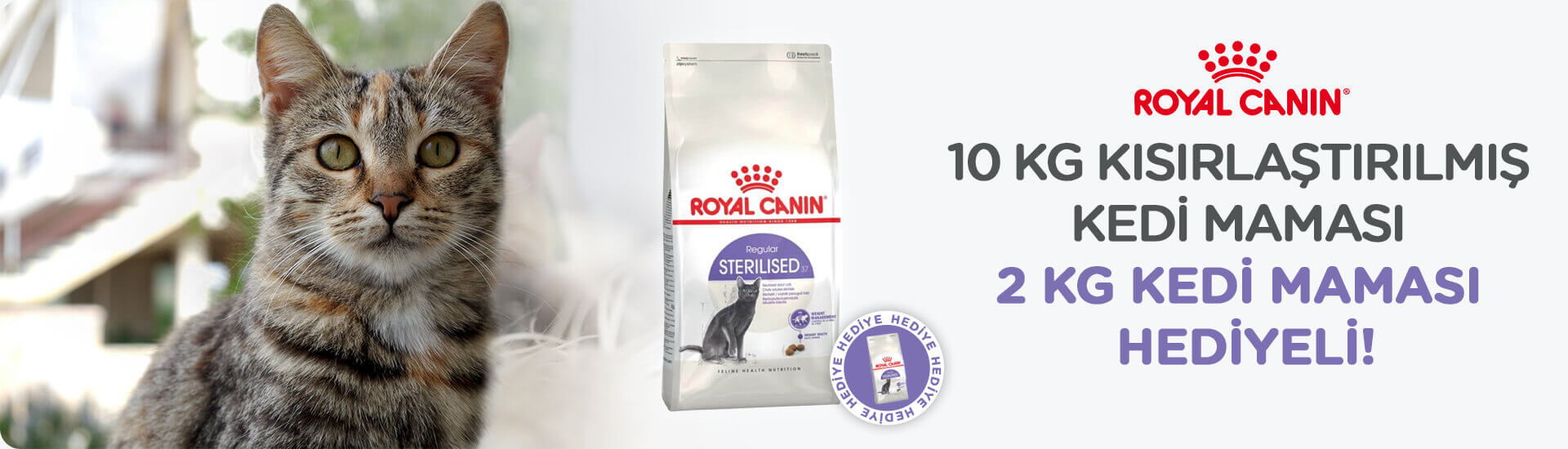 Royal Canin 10 Kg Kısırlaştırılmış Kedi Maması Mama Hediyeli!