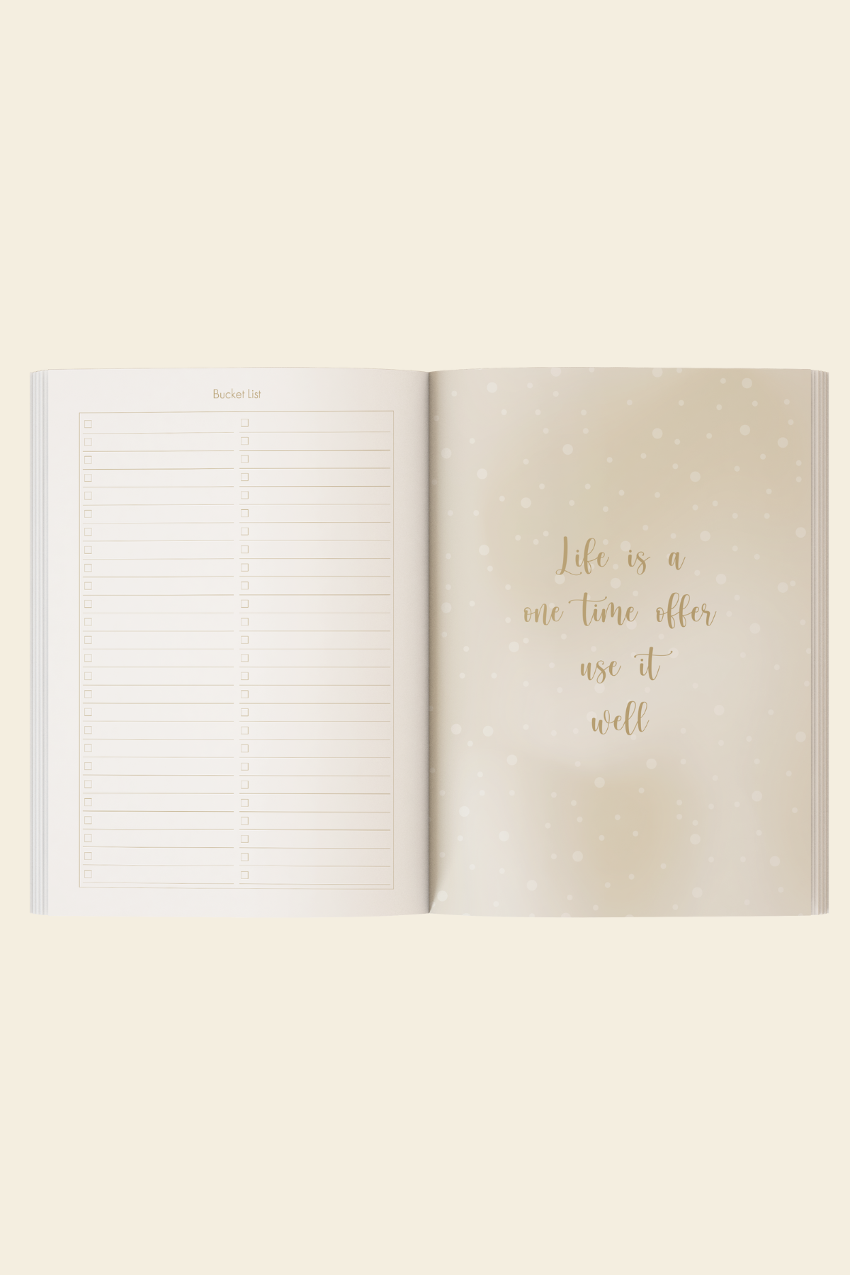 17x24 Metalik Süresiz Planlayıcı Ajanda Defter Dream| LeColorMetalik Süresiz Planlayıcı Dreams 17x24 