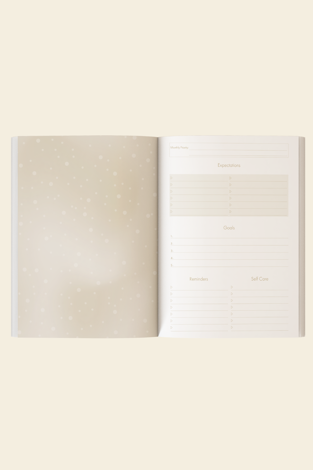17x24 Metalik Süresiz Planlayıcı Ajanda Defter Dream| LeColorMetalik Süresiz Planlayıcı Dreams 17x24 