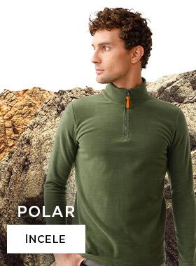 polar