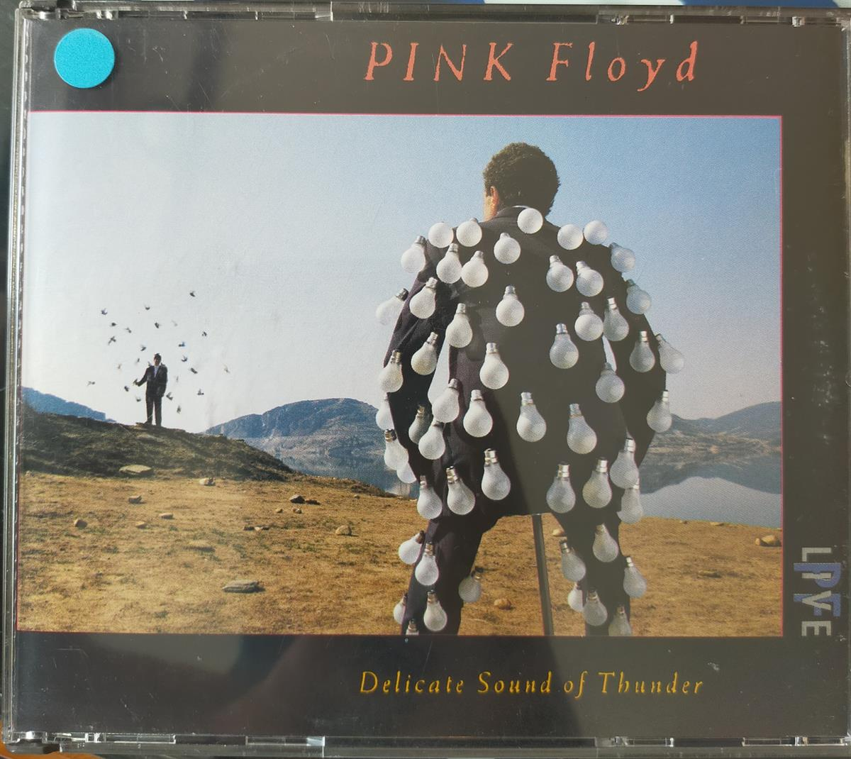 pink-floyd-delicate-sound-of-