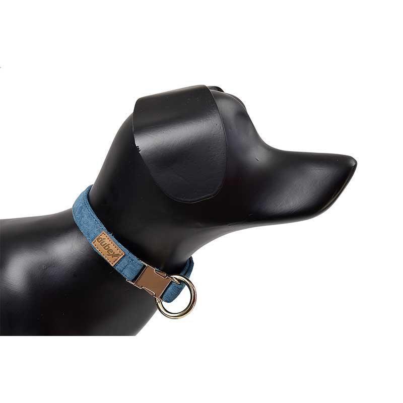 Dubex G-Dog Köpek Boyun Tasması Turkuaz M-L