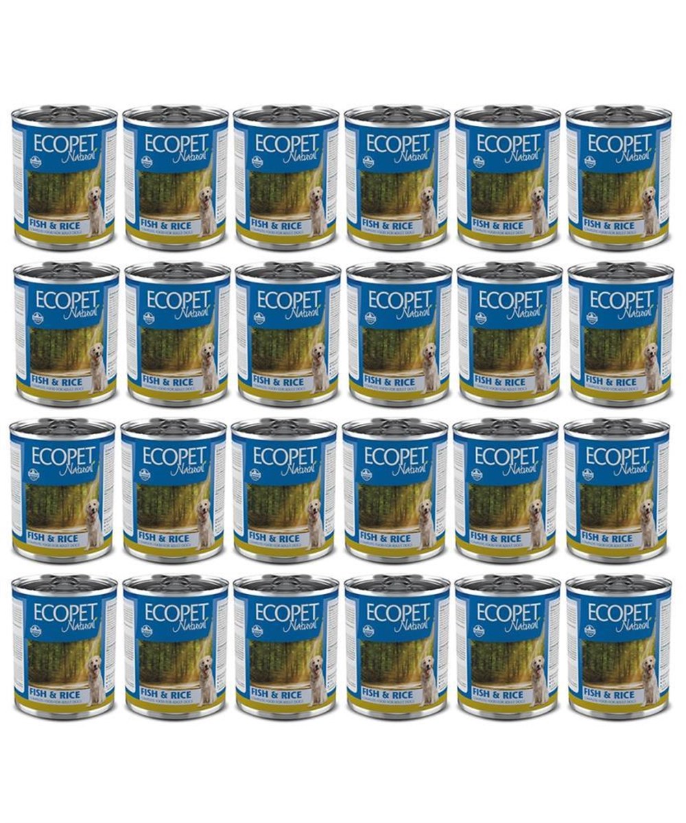 Ecopet Natural Balik ve Pirinçli Köpek Konservesi 300 gr 24 adet