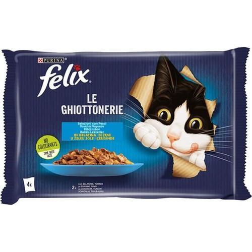 Felix Multipack Somonlu ve Ton Balıklı Yetişkin Kedi Yaş Maması 4x85 Gr 2 Adet