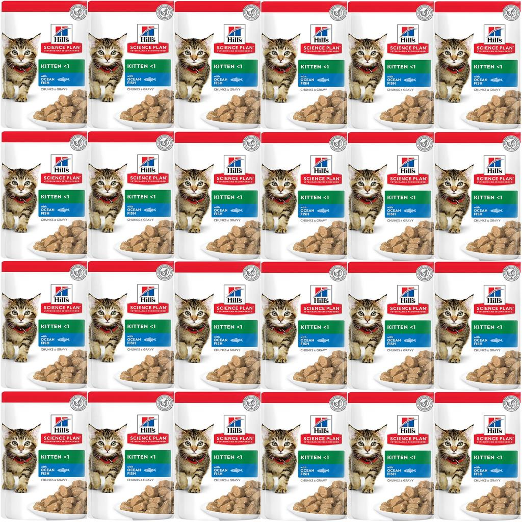 Hills Kitten Balıklı Konserve Yaş Kedi Maması 85 gr*24 Adet