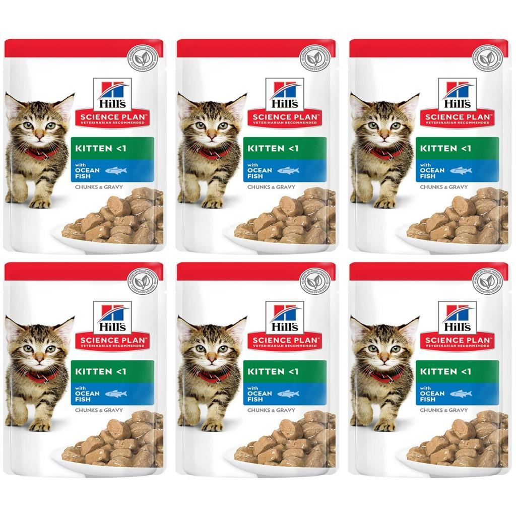 Hills Kitten Balıklı Konserve Yaş Kedi Maması 85 gr*6 Adet