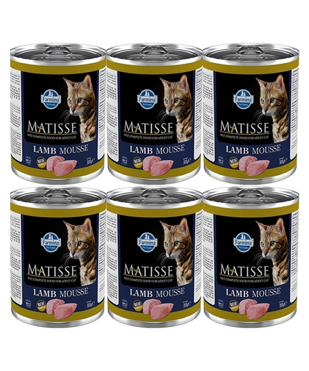 Matisse Mousse Kuzulu 300gr Yas Kedi Konservesi 6 adet