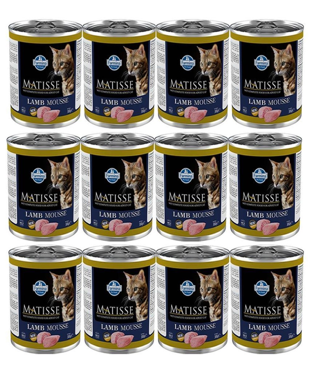 Matisse Mousse Kuzulu 300gr Yas Kedi Konservesi 12 adet