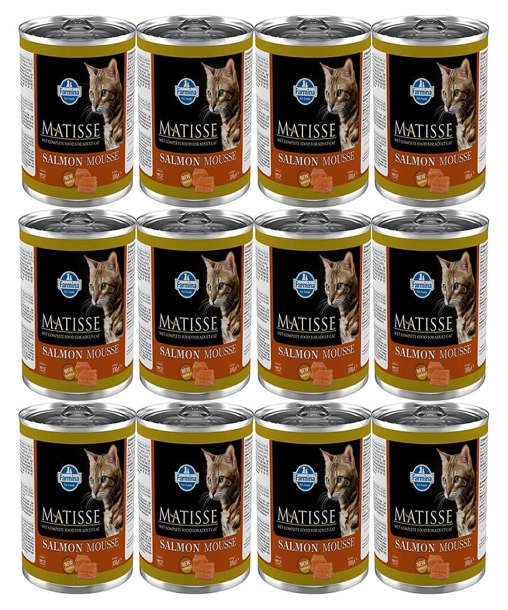 Matisse Salmon Mousse Somonlu Kedi Konservesi 300 Gr 12 adet
