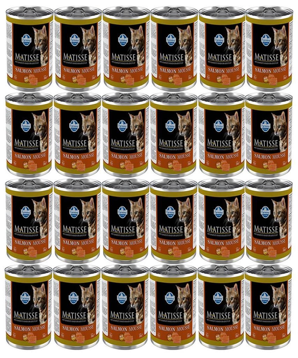 Matisse Salmon Mousse Somonlu Kedi Konservesi 300 Gr 24 adet