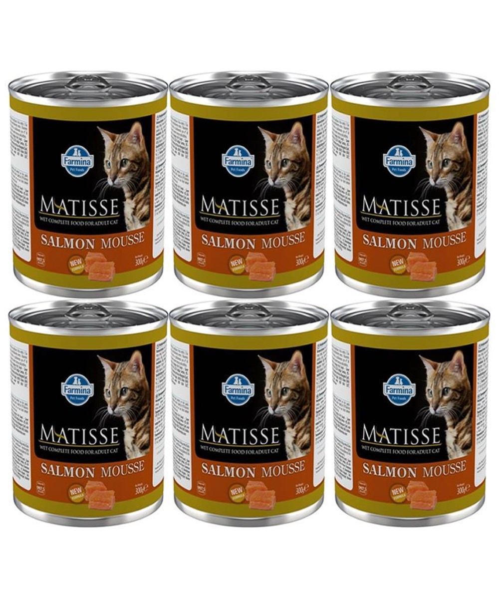 Matisse Salmon Mousse Somonlu Kedi Konservesi 300 Gr 6 adet