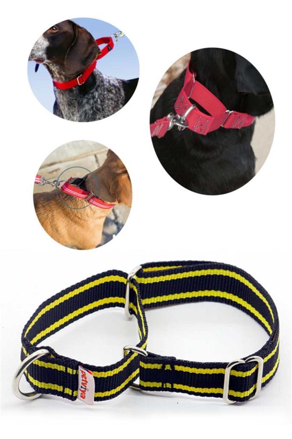 Petviya Martingale Köpek Eğitim Boyun Tasması Large Siyah Sarı