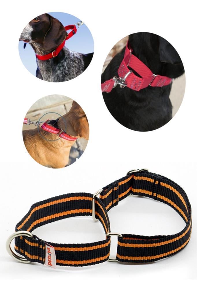 Petviya Martingale Köpek Eğitim Boyun Tasması Large Siyah Turuncu
