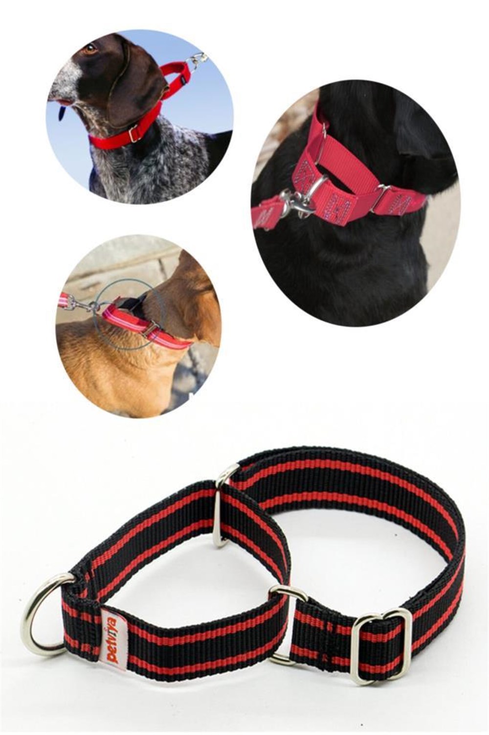 Petviya Martingale Köpek Eğitim Boyun Tasması Large Siyah Kırmızı