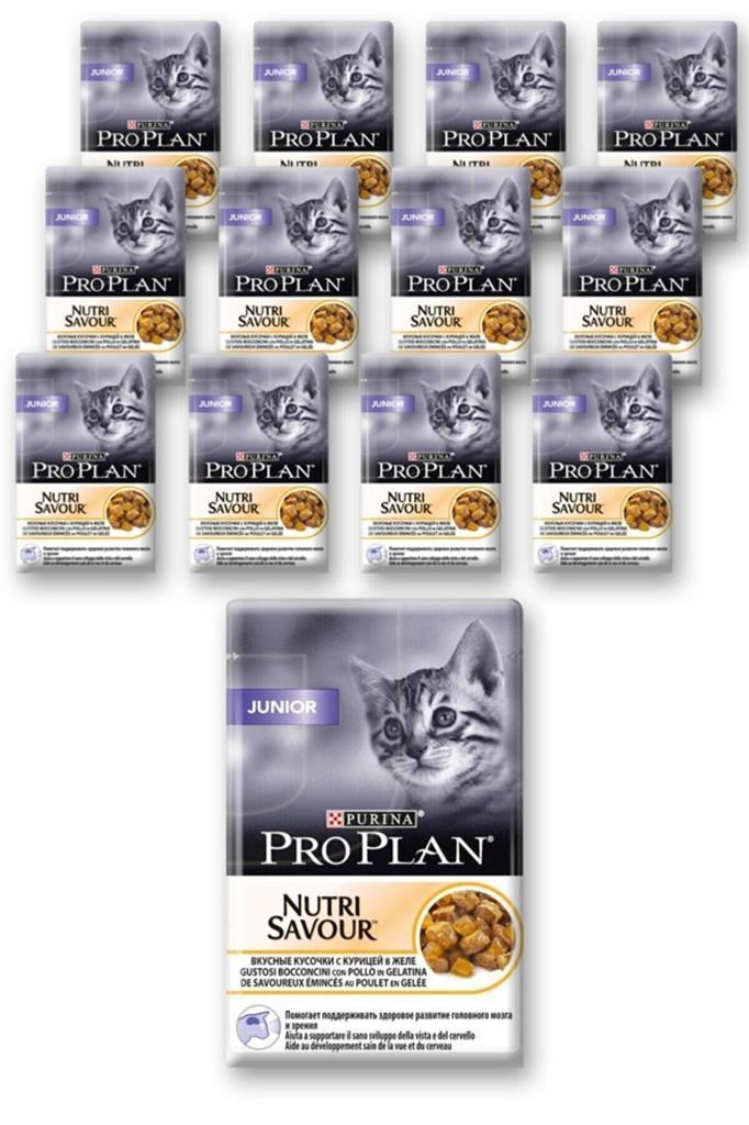Pro Plan Pouch Tavuklu Yavru Kedi Konservesi 85gr 12 adet