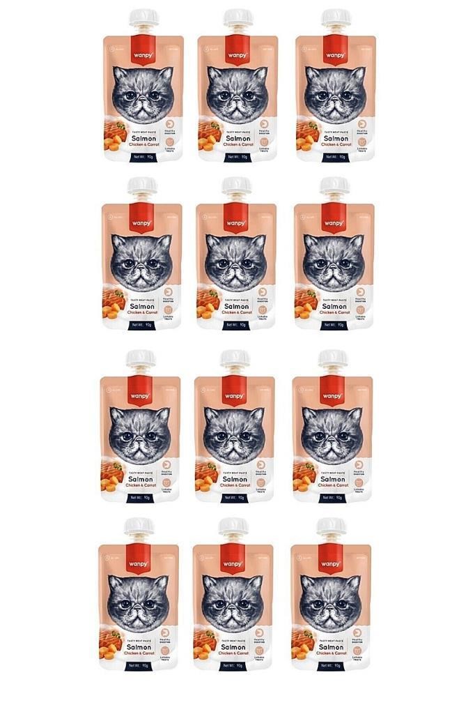 Wanpy Taze Somon & Tavuklu Kedi Et Ezmesi 90 Gr. X 12 Adet