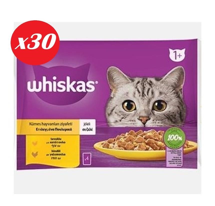 Whiskas Tavuklu ve Hindili Yet. Kedi Maması 4x85Gr Set 30'lu