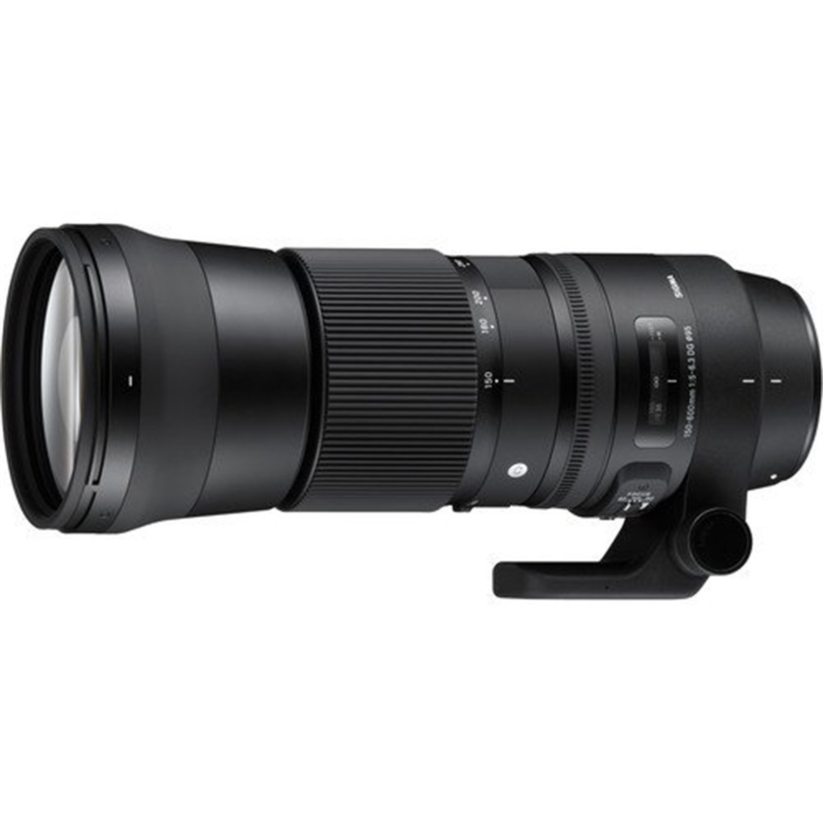 SIGMA 150-600mm　F5-6.3 DG Sports Nikon ｆ Sigma 150-600mm f/5-6.3 DG OS HSM Contemporary Lens (Nikon F