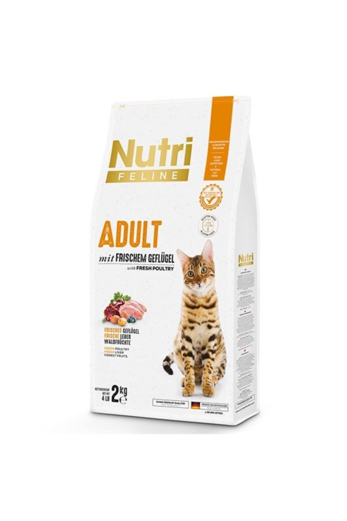 Nutri Adult Poultry Kümes Hayvanlı Yetişkin Kedi Maması 2 Kg