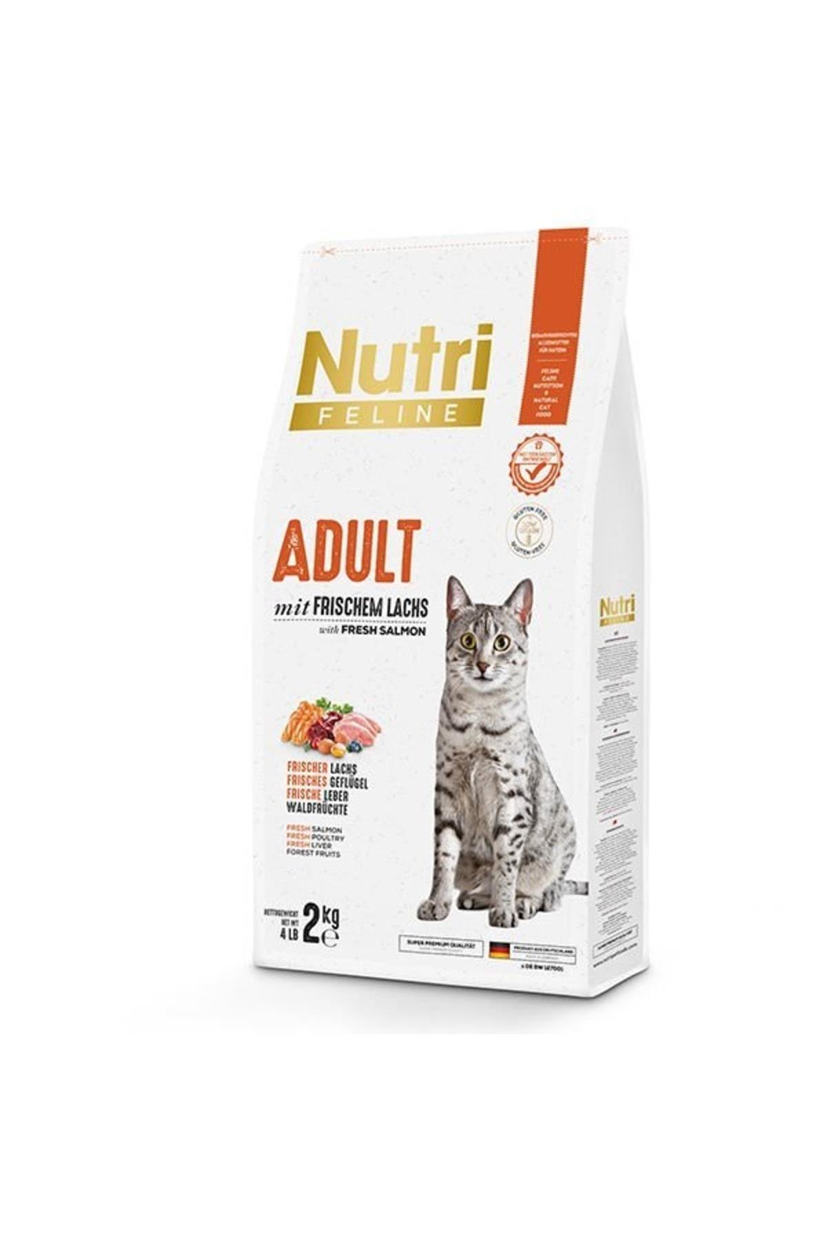 Nutri Adult Salmon Somonlu Yetişkin Kedi Maması 2 Kg