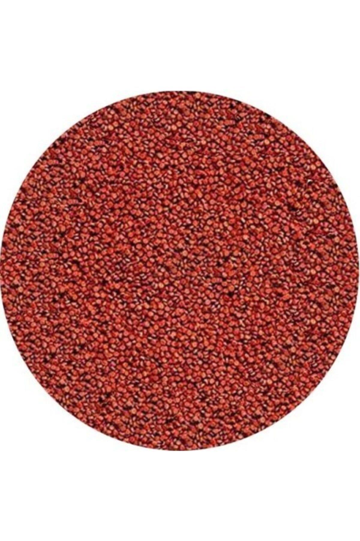 Sera Granured Granül Balık Yemi 250 Gr