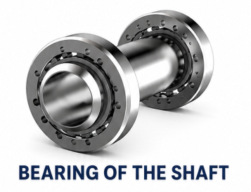 Bearing of the Shaft