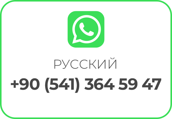 asilguc-whatsapp-ru
