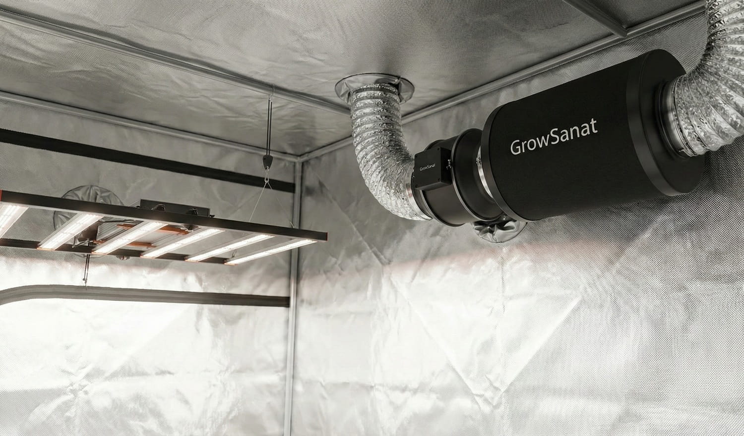 Solmuş Çiçek Nasıl Canlandırılır? Çiçeklerin Solmaması İçin Ne Yapılır? |  Growsanat