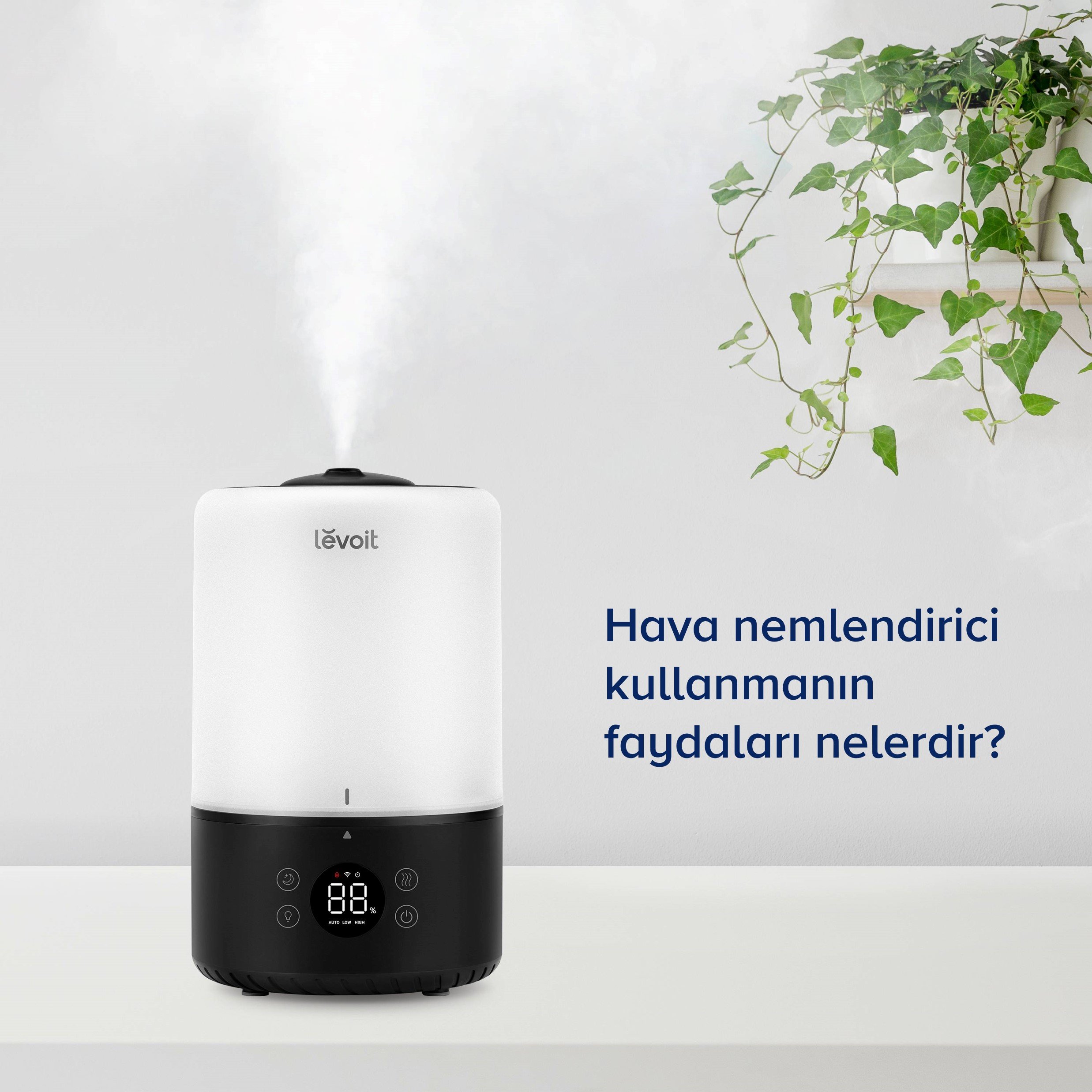 Blog - Bir Nemlendiriciye Sahip Olmanın Faydaları