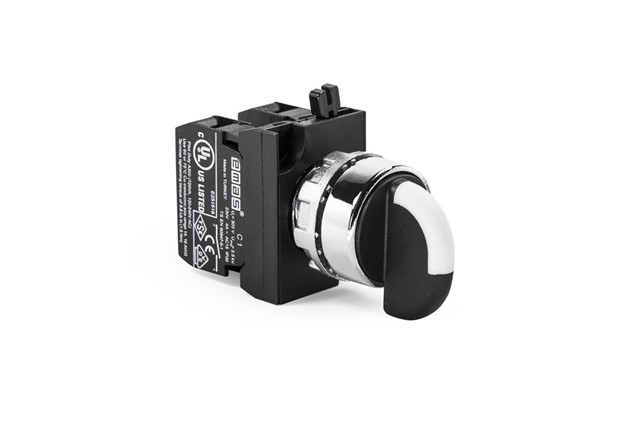 Emas CM101S32 CM Serisi Metal 2NO (II-0-I) 60° Seçici Çift Dönüşlü 22 mm Buton