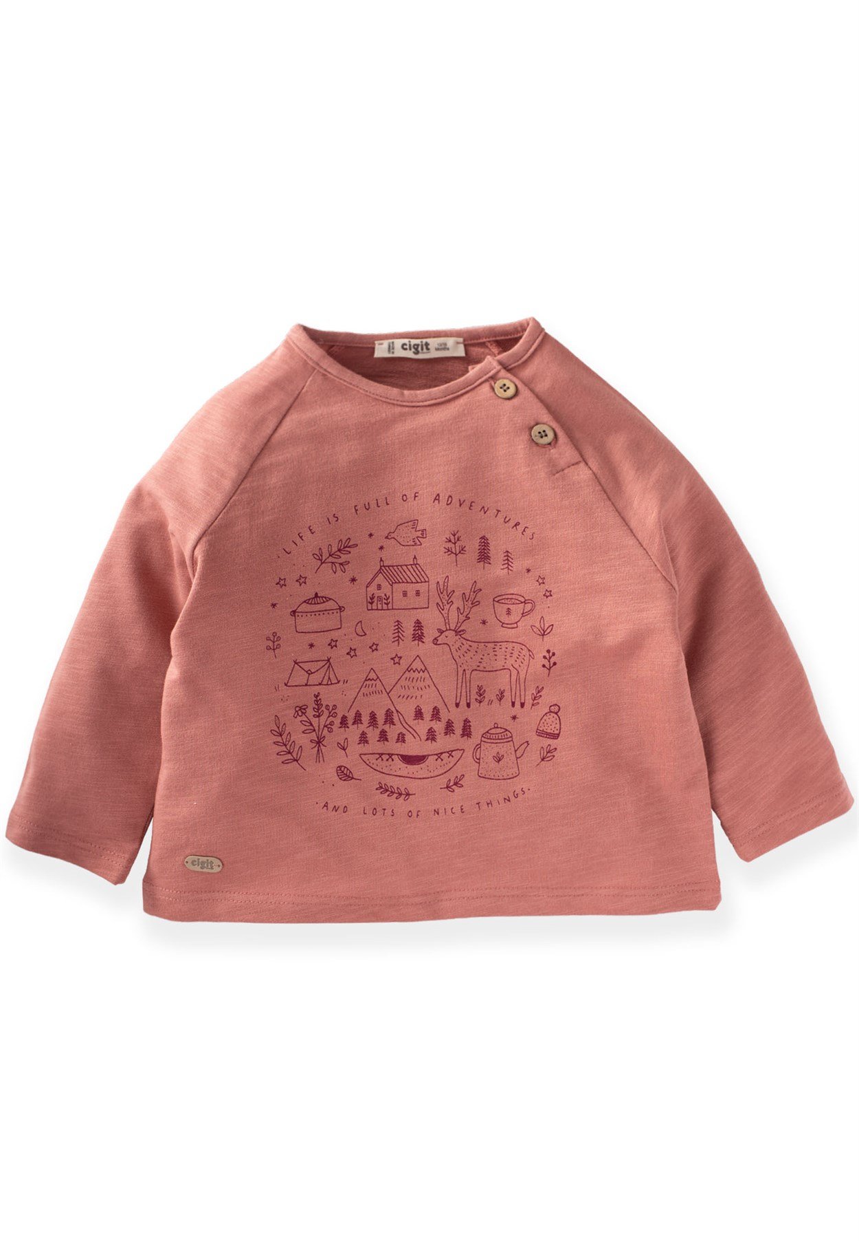 70920 - 5019 Yeni Sezon  - Adventures Baskılı Sweat 1-5 Yaş Gül KurusuCigitAdventures Baskılı Sweat 1-5 Yaş Gül Kurusu
