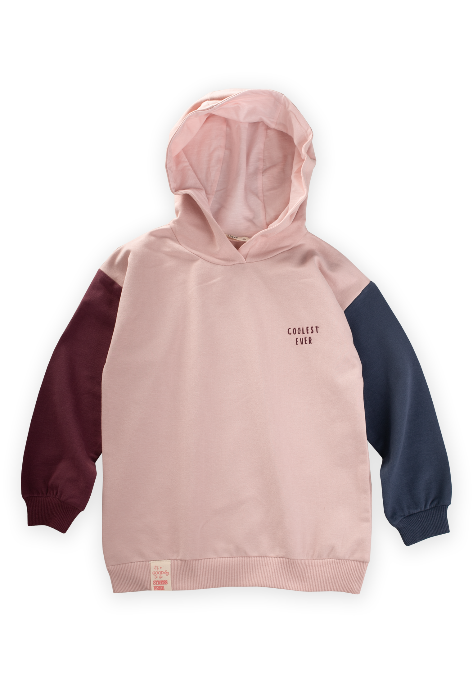 CigitMulticolor Sweatshirt 5-12 Yaş PUDRA