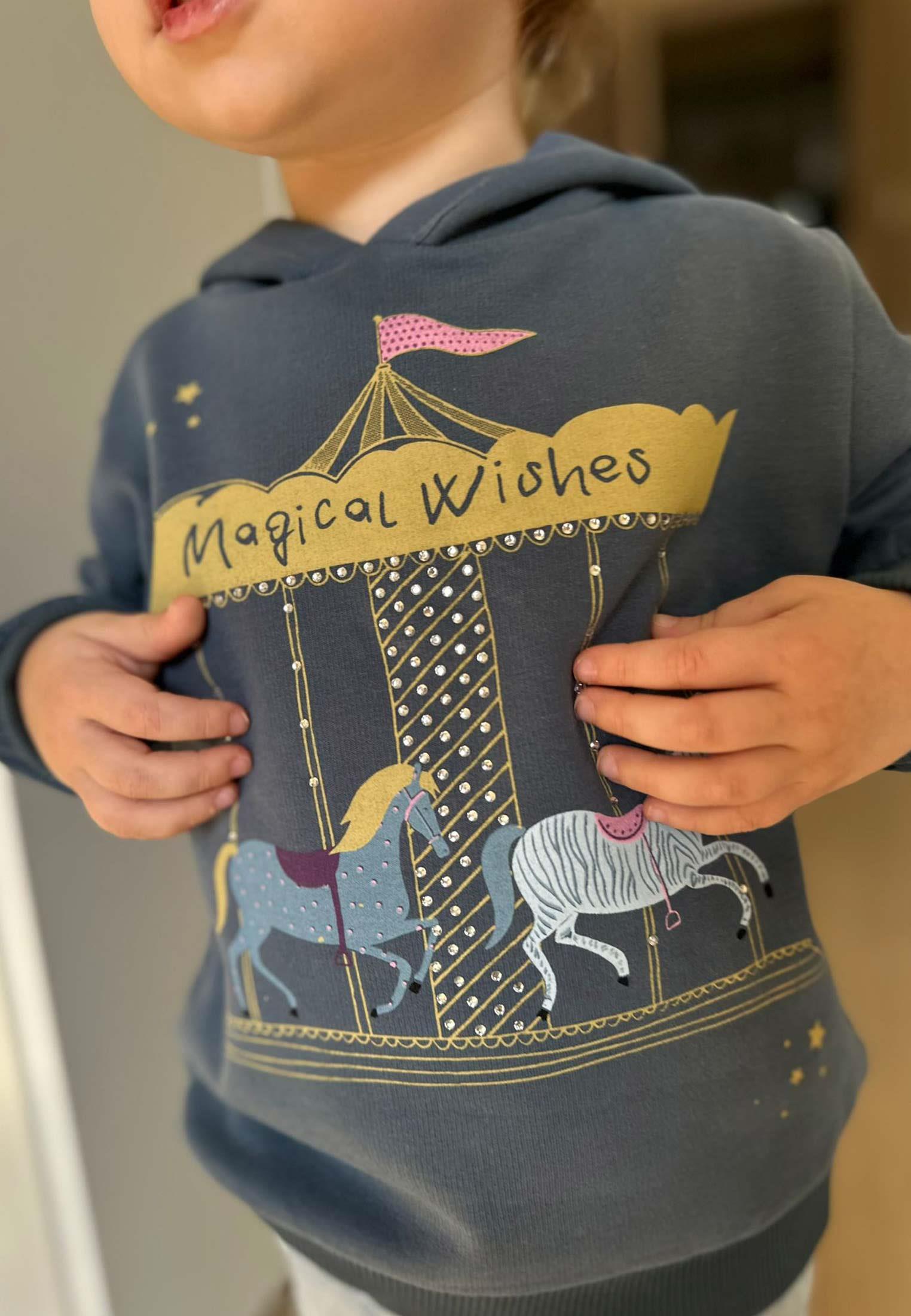 CigitAtlı Karınca Baskılı Kapşonlu Sweatshirt 1-8 Yaş Lacivert