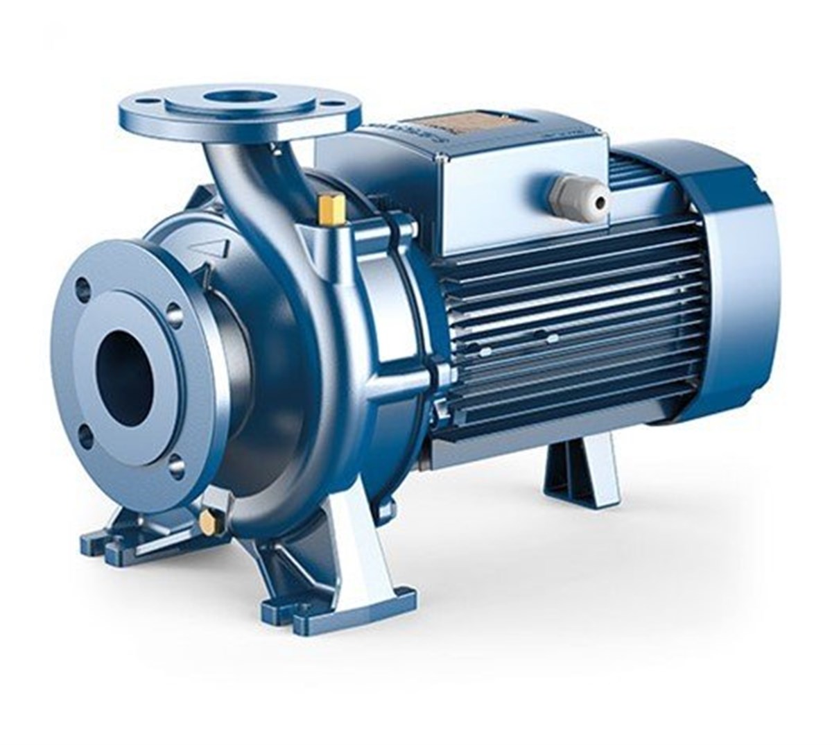 Pedrollo Fm 32/160B Flanşlı Santrifüj Pompa 31 mss 24 m³/h