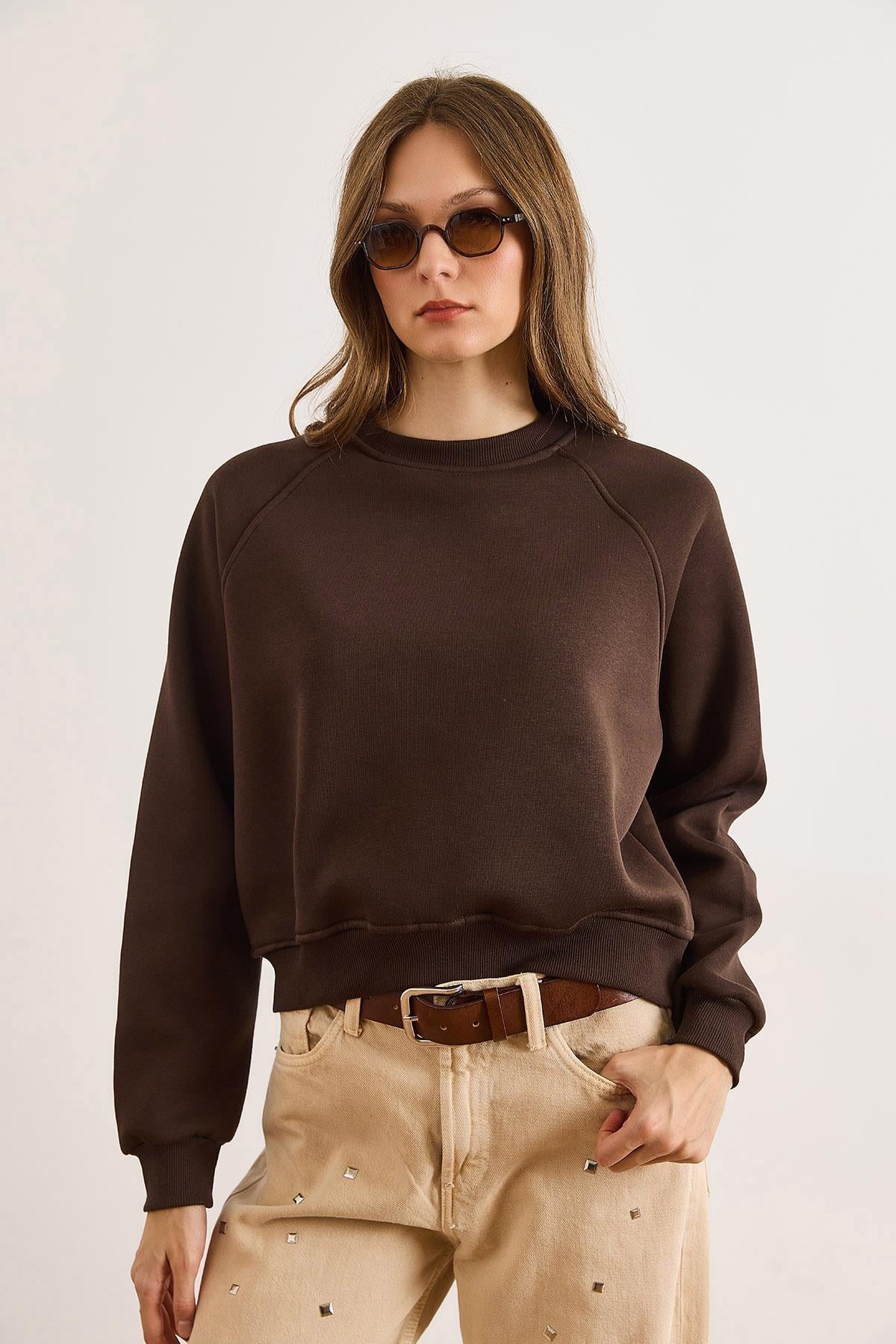 Dikiş Detaylı Reglan Kol Sweatshirt Kahverengi