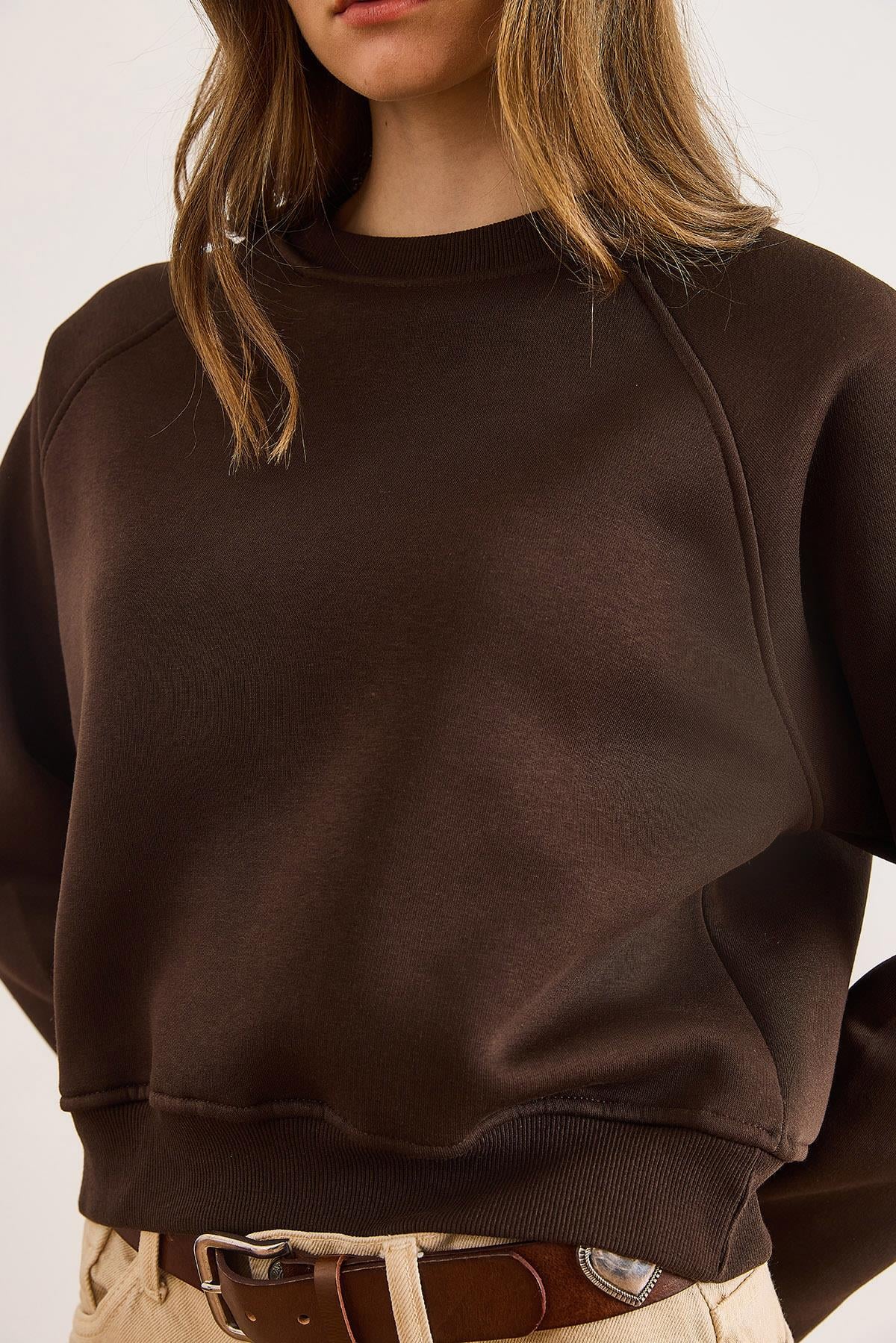 Dikiş Detaylı Reglan Kol Sweatshirt Kahverengi
