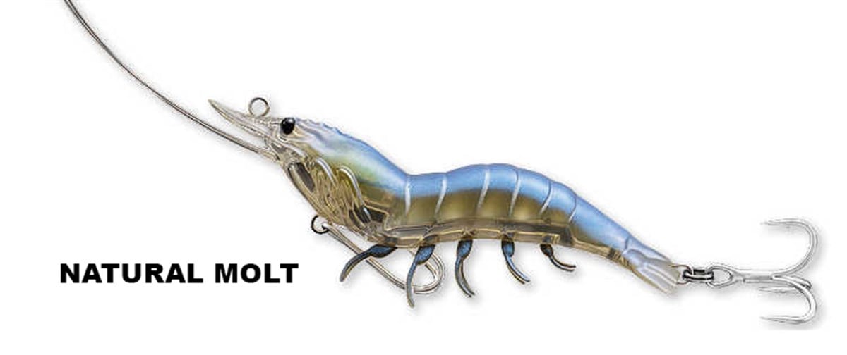 Live Target Shrimp 3,5cm 7gr LRF Spin Karides Silikon Yem