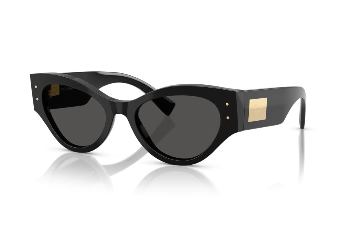 DOLCE&GABBANA  4480 501/87 53-19  Güneş Gözlüğü