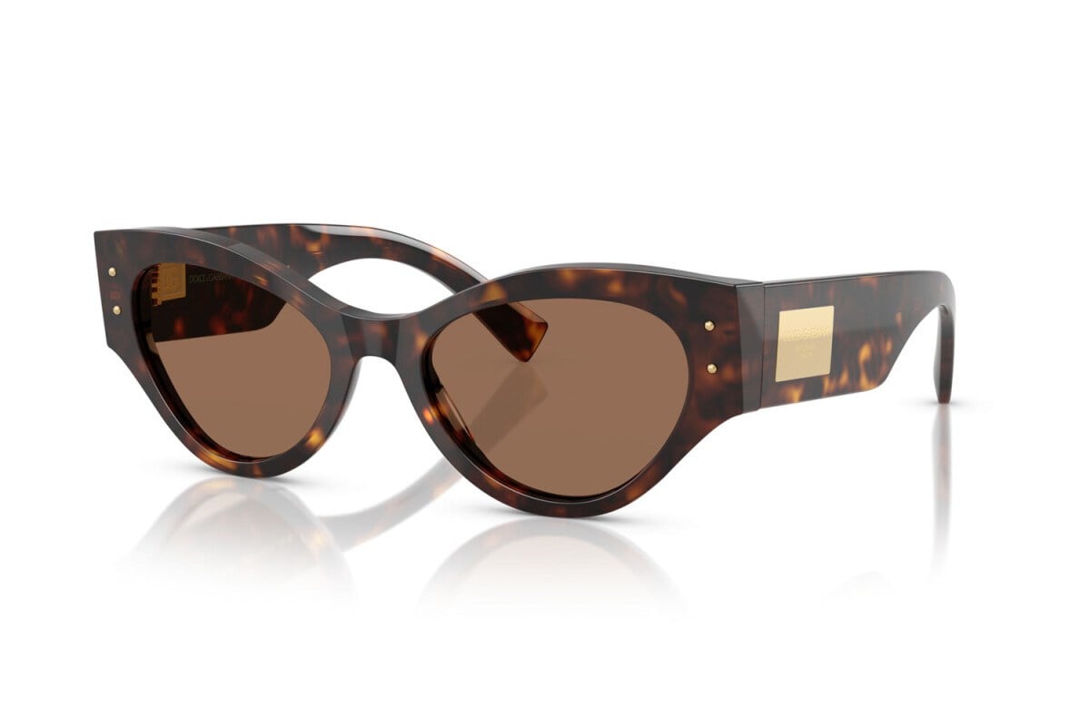 DOLCE&GABBANA  4480 502/73 53-19  Güneş Gözlüğü