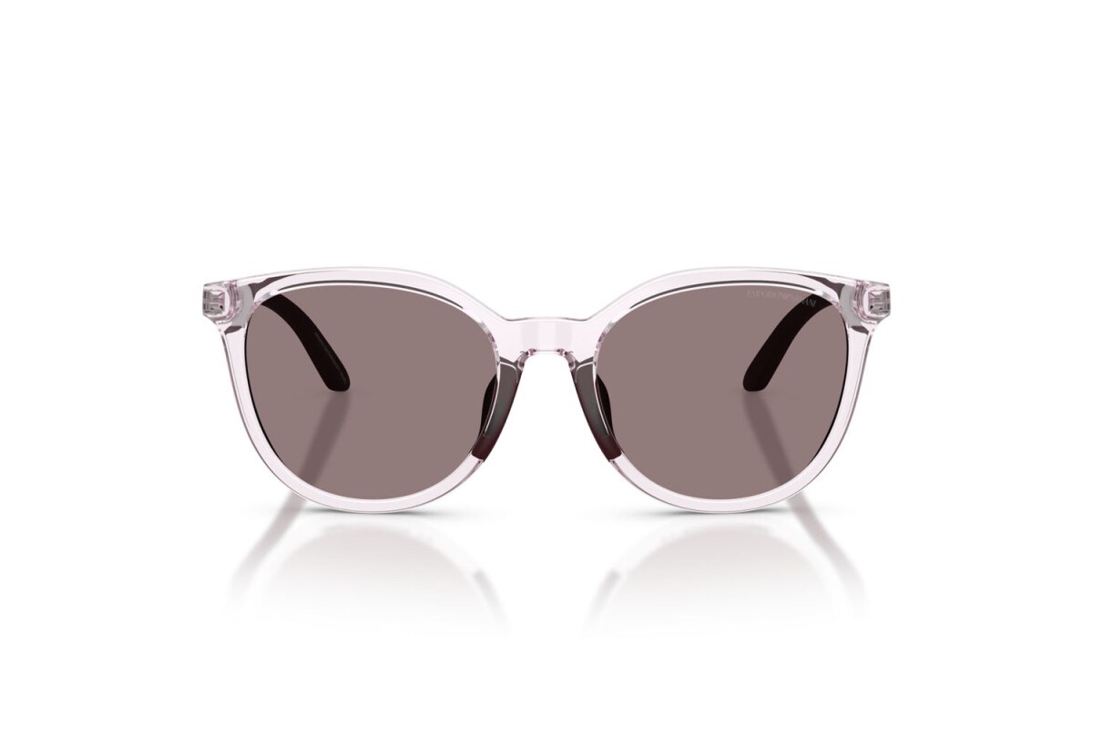 EMPORIO ARMANI  4007U 61397N 49-17  Güneş Gözlüğü