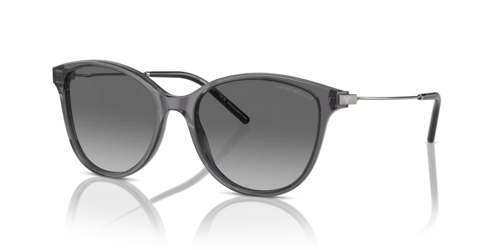 EMPORIO ARMANI  4220 610611 54-17  Güneş Gözlüğü